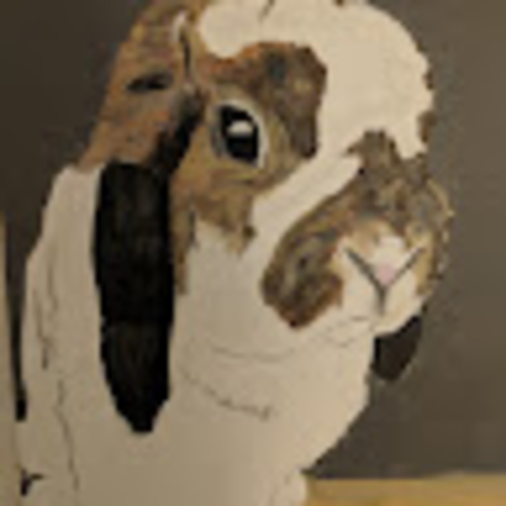 Meet your Posher, Kenny